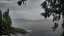 ./images/koeye/fitz-hugh/20260710/fitz-hugh20260710_054001M.jpg