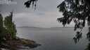 ./images/koeye/fitz-hugh/20260710/fitz-hugh20260710_054501M.jpg