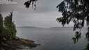 ./images/koeye/fitz-hugh/20260710/fitz-hugh20260710_055001M.jpg