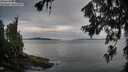 ./images/koeye/fitz-hugh/20260710/fitz-hugh20260710_061001M.jpg