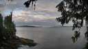 ./images/koeye/fitz-hugh/20260710/fitz-hugh20260710_062001M.jpg