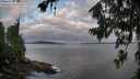 ./images/koeye/fitz-hugh/20260710/fitz-hugh20260710_062501M.jpg