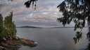 ./images/koeye/fitz-hugh/20260710/fitz-hugh20260710_063501M.jpg