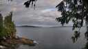 ./images/koeye/fitz-hugh/20260710/fitz-hugh20260710_064001M.jpg