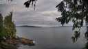 ./images/koeye/fitz-hugh/20260710/fitz-hugh20260710_064502M.jpg