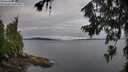 ./images/koeye/fitz-hugh/20260710/fitz-hugh20260710_065002M.jpg