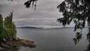 ./images/koeye/fitz-hugh/20260710/fitz-hugh20260710_065501M.jpg