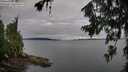 ./images/koeye/fitz-hugh/20260710/fitz-hugh20260710_071002M.jpg