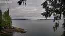 ./images/koeye/fitz-hugh/20260710/fitz-hugh20260710_071501M.jpg