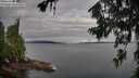 ./images/koeye/fitz-hugh/20260710/fitz-hugh20260710_072001M.jpg
