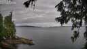 ./images/koeye/fitz-hugh/20260710/fitz-hugh20260710_073001M.jpg