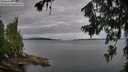 ./images/koeye/fitz-hugh/20260710/fitz-hugh20260710_073502M.jpg