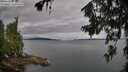 ./images/koeye/fitz-hugh/20260710/fitz-hugh20260710_074002M.jpg