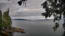 ./images/koeye/fitz-hugh/20260710/fitz-hugh20260710_074501M.jpg