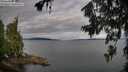 ./images/koeye/fitz-hugh/20260710/fitz-hugh20260710_075002M.jpg