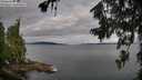./images/koeye/fitz-hugh/20260710/fitz-hugh20260710_075501M.jpg