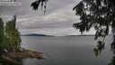 ./images/koeye/fitz-hugh/20260710/fitz-hugh20260710_080002M.jpg