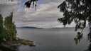 ./images/koeye/fitz-hugh/20260710/fitz-hugh20260710_080501M.jpg