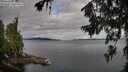 ./images/koeye/fitz-hugh/20260710/fitz-hugh20260710_081001M.jpg