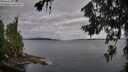 ./images/koeye/fitz-hugh/20260710/fitz-hugh20260710_082501M.jpg