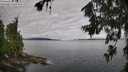 ./images/koeye/fitz-hugh/20260710/fitz-hugh20260710_084002M.jpg