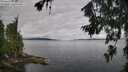 ./images/koeye/fitz-hugh/20260710/fitz-hugh20260710_084501M.jpg