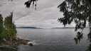 ./images/koeye/fitz-hugh/20260710/fitz-hugh20260710_085501M.jpg