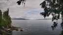 ./images/koeye/fitz-hugh/20260710/fitz-hugh20260710_093501M.jpg
