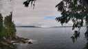 ./images/koeye/fitz-hugh/20260710/fitz-hugh20260710_094002M.jpg