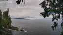 ./images/koeye/fitz-hugh/20260710/fitz-hugh20260710_095001M.jpg