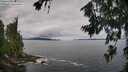 ./images/koeye/fitz-hugh/20260710/fitz-hugh20260710_095501M.jpg