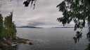 ./images/koeye/fitz-hugh/20260710/fitz-hugh20260710_100002M.jpg