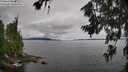 ./images/koeye/fitz-hugh/20260710/fitz-hugh20260710_102001M.jpg