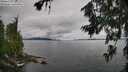 ./images/koeye/fitz-hugh/20260710/fitz-hugh20260710_102501M.jpg