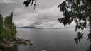 ./images/koeye/fitz-hugh/20260710/fitz-hugh20260710_104001M.jpg