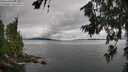 ./images/koeye/fitz-hugh/20260710/fitz-hugh20260710_104502M.jpg