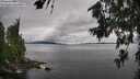 ./images/koeye/fitz-hugh/20260710/fitz-hugh20260710_105002M.jpg