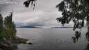 ./images/koeye/fitz-hugh/20260710/fitz-hugh20260710_110502M.jpg