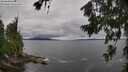 ./images/koeye/fitz-hugh/20260710/fitz-hugh20260710_113002M.jpg