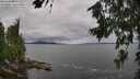 ./images/koeye/fitz-hugh/20260710/fitz-hugh20260710_113501M.jpg