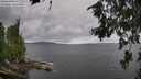 ./images/koeye/fitz-hugh/20260710/fitz-hugh20260710_120501M.jpg