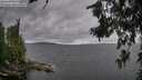 ./images/koeye/fitz-hugh/20260710/fitz-hugh20260710_121001M.jpg