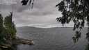./images/koeye/fitz-hugh/20260710/fitz-hugh20260710_122501M.jpg