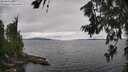 ./images/koeye/fitz-hugh/20260710/fitz-hugh20260710_124001M.jpg