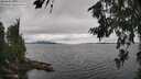 ./images/koeye/fitz-hugh/20260710/fitz-hugh20260710_124501M.jpg