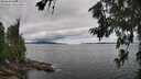 ./images/koeye/fitz-hugh/20260710/fitz-hugh20260710_130502M.jpg