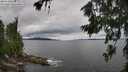 ./images/koeye/fitz-hugh/20260710/fitz-hugh20260710_132501M.jpg