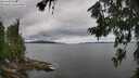 ./images/koeye/fitz-hugh/20260710/fitz-hugh20260710_133001M.jpg
