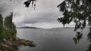 ./images/koeye/fitz-hugh/20260710/fitz-hugh20260710_134001M.jpg