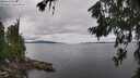 ./images/koeye/fitz-hugh/20260710/fitz-hugh20260710_134501M.jpg